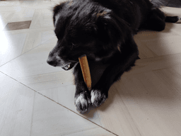 Submitted by Dikshant